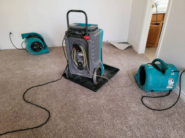 Best Water damage restoration insurance claims  in Sperry, OK