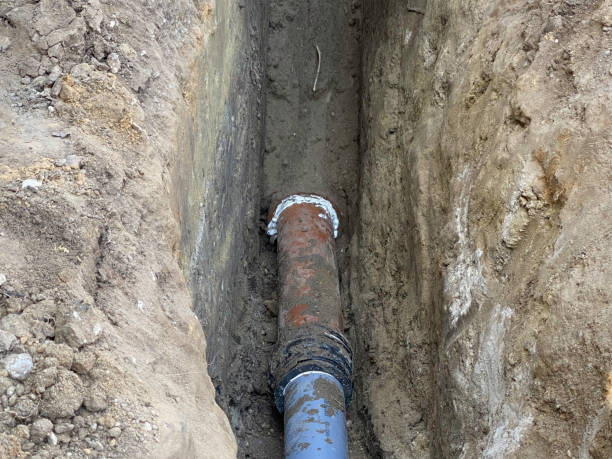 Best Professional water damage repair  in Sperry, OK