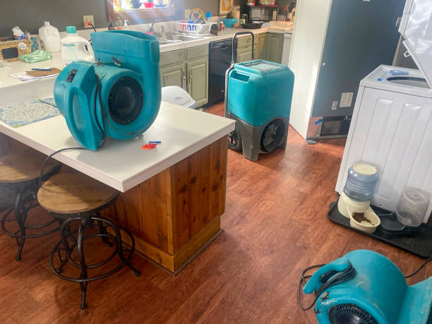Best Ceiling water damage repair  in Sperry, OK