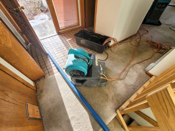Best Basement water damage restoration  in Sperry, OK