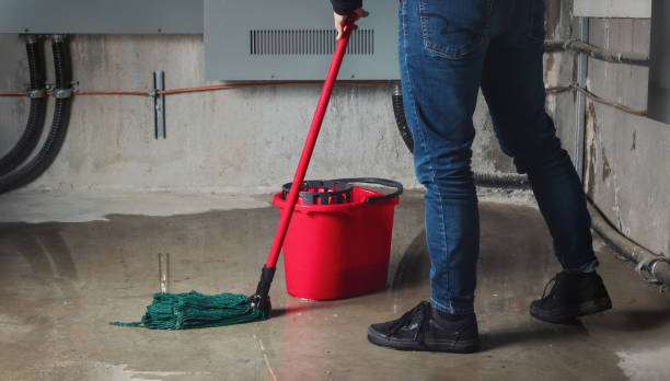 Best Mold removal after water damage  in Sperry, OK